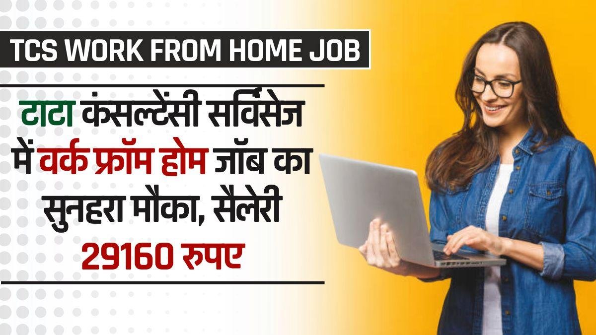 TCS Work From Home Job 2024